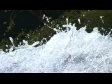 Water 1 257